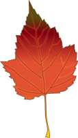 autumn_leaf1