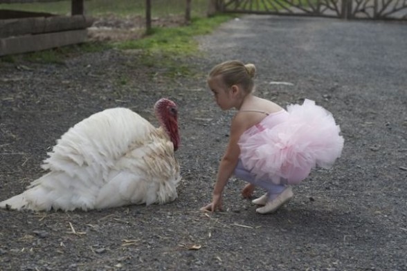 cynthia king vegan ballet slippers