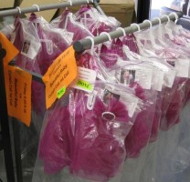 IMAGE Pink costumes hang in bags on a rack. IMAGE