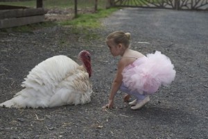 Cynthia King Dance Studio student comes face to face with a turkey at the Woodstock Farm Animal Sanctuary
