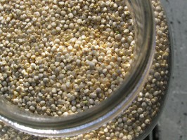 IMAGE Quinoa granules in a clear glass jar. IMAGE