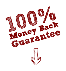 100% Money Back Guarantee - Hand Drawn Maroon