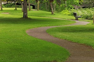 IMAGE A winding path cuts through a grassy park IMAGE